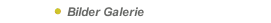 Bilder Galerie